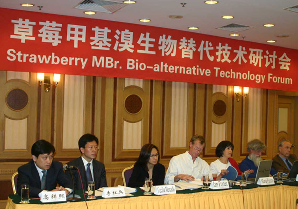 聯(lián)合國環(huán)境署、聯(lián)合國工發(fā)組織等機構出席了我公司舉行的草莓甲基溴生物替代技術研討會